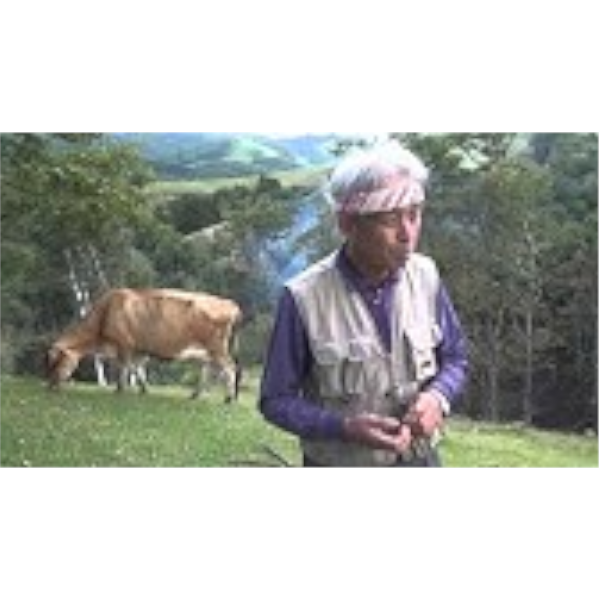 【valentines/春の贈り物】なかほら牧場ぷりん〔チョコレート〕1個