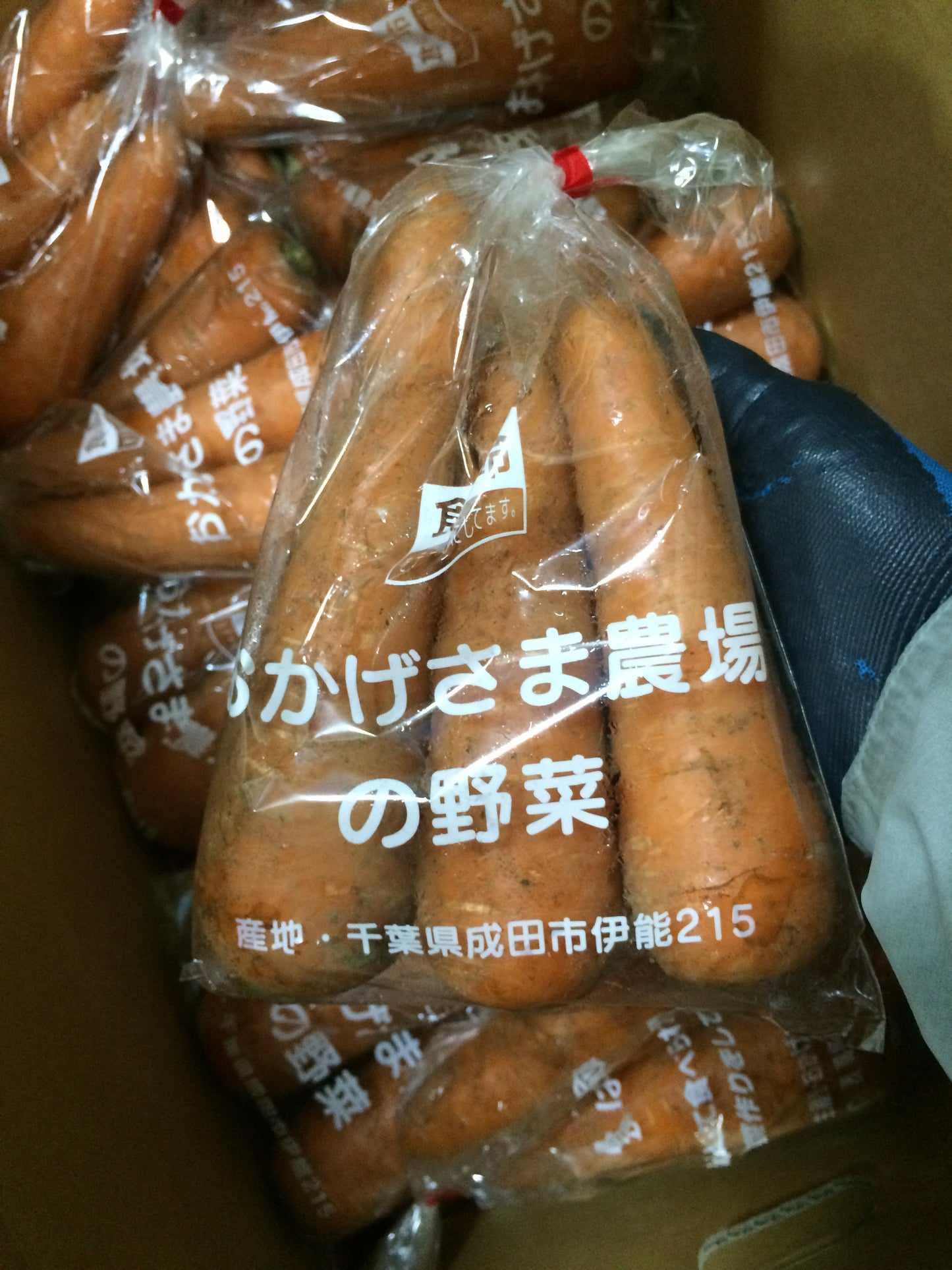 おかげさまの人参 約500g 農薬、化学肥料ゼロ (千葉県)おかげさま農場