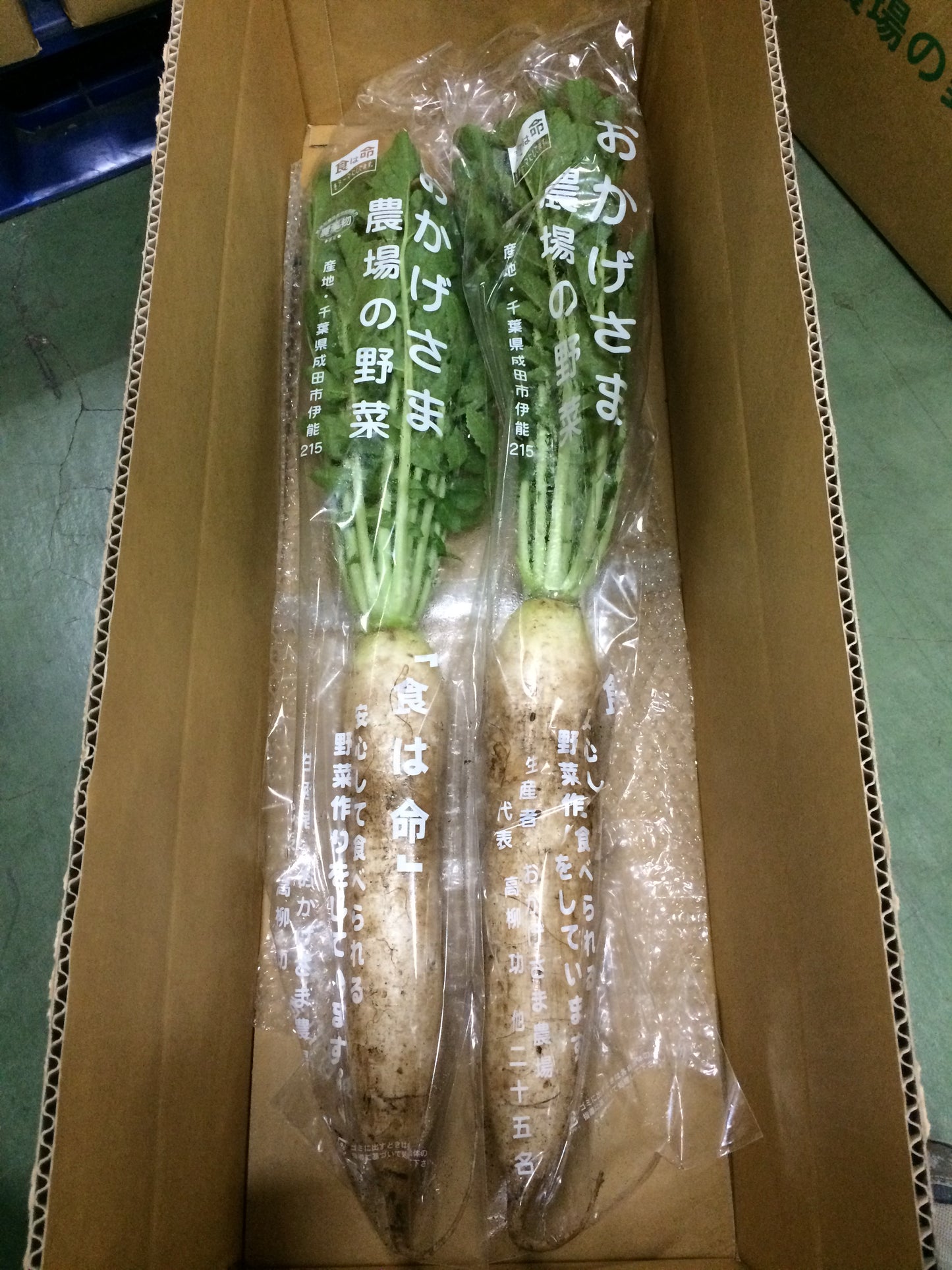 おかげさまの大根(葉付土付)無農薬・無化学肥料 1本P (千葉県)おかげさま農場