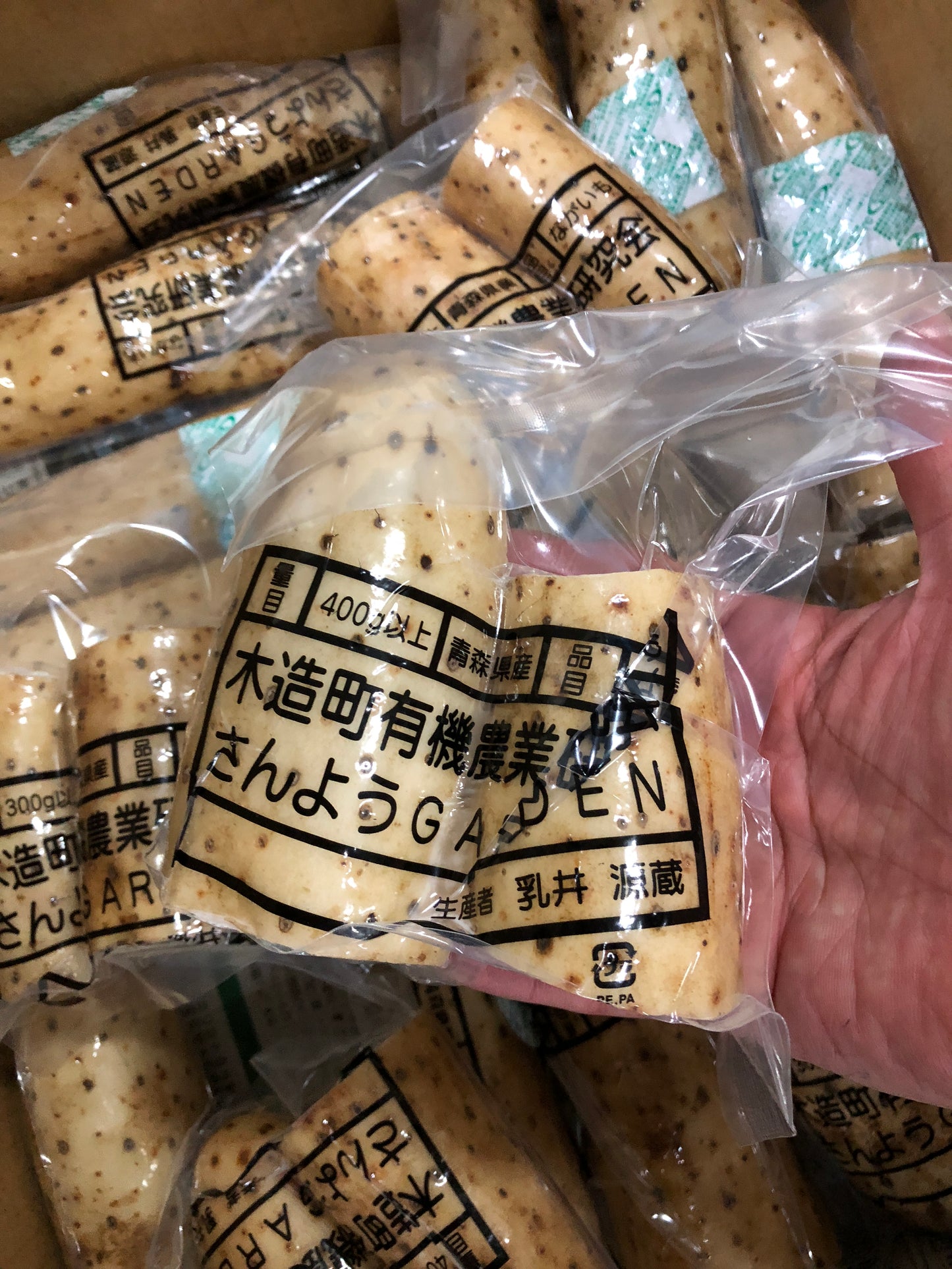木造の長芋 300gP 無農薬・無化学肥料(青森県)木造町有機栽培研究会