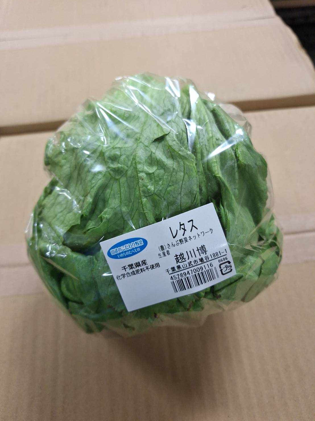 さんぶのレタス 1個(ラップ巻) 無農薬・無化学肥料(千葉県)さんぶ野菜ネットワーク