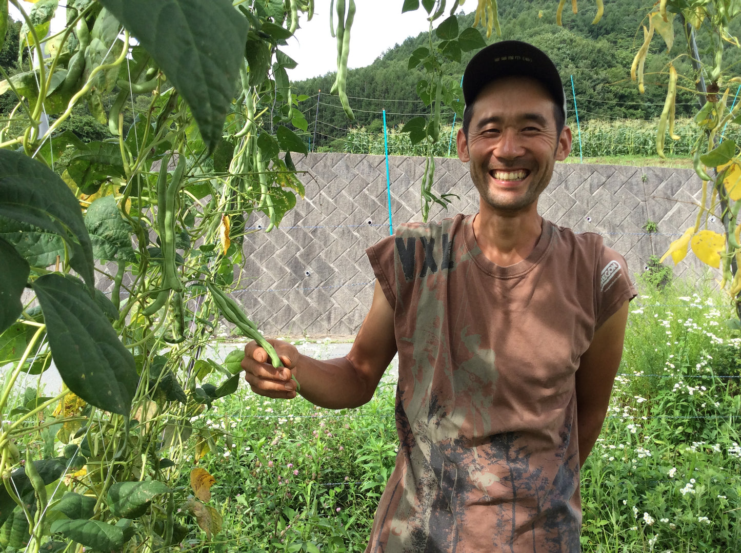 山梨の自然栽培いんげん 約100gP 無農薬・無化学肥料(山梨県)小黒農場 他