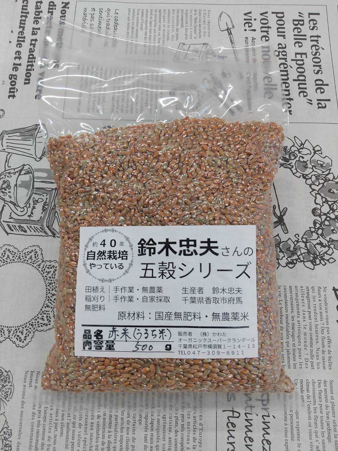 千葉県産 鈴木さん自然栽培の赤米 約500g(うるち米)
