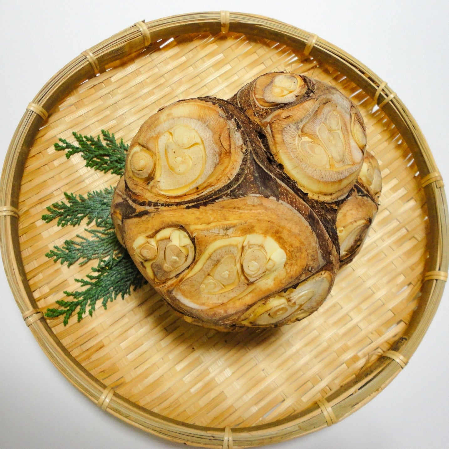 【2026お正月】千葉産有機八つ頭約1kg ※12/28〜30お届け限定