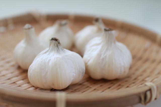 みちのくの有機にんにく 1玉 有機認証・許容農薬ゼロ(岩手県・青森県)みちのく有機共同農場