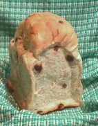 ザクセンぶどう食パン1個