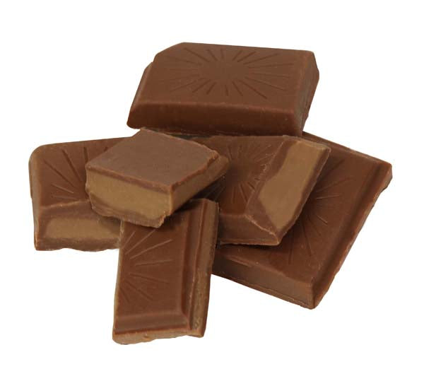 有機ウィンターチョコレート 100g