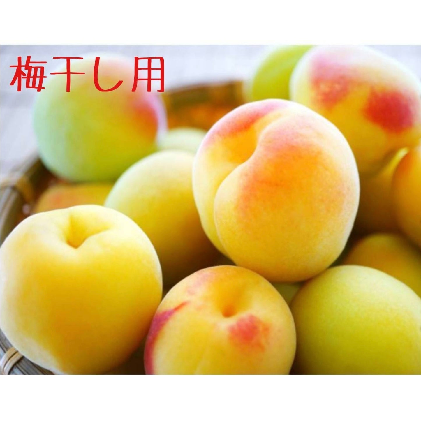 無茶々園 梅干し用(紅さし、南高梅、加賀地蔵混合)約 1k 農薬0・化学肥料0(愛媛県)