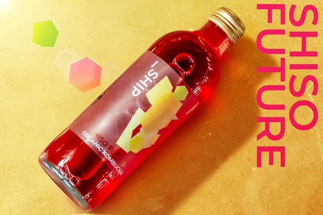 SHIP KOMBUCHA しそ 微炭酸 300ml