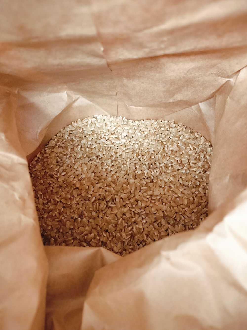 令和6年産 徳島産 ヤマサ農園さん ヒノヒカリ(玄米) 4.6k 農薬、化学肥料ゼロ