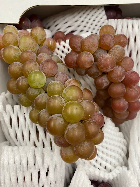 山形産 自然農法 デラウェアぶどう 約1kg 4-5房入り※種あり