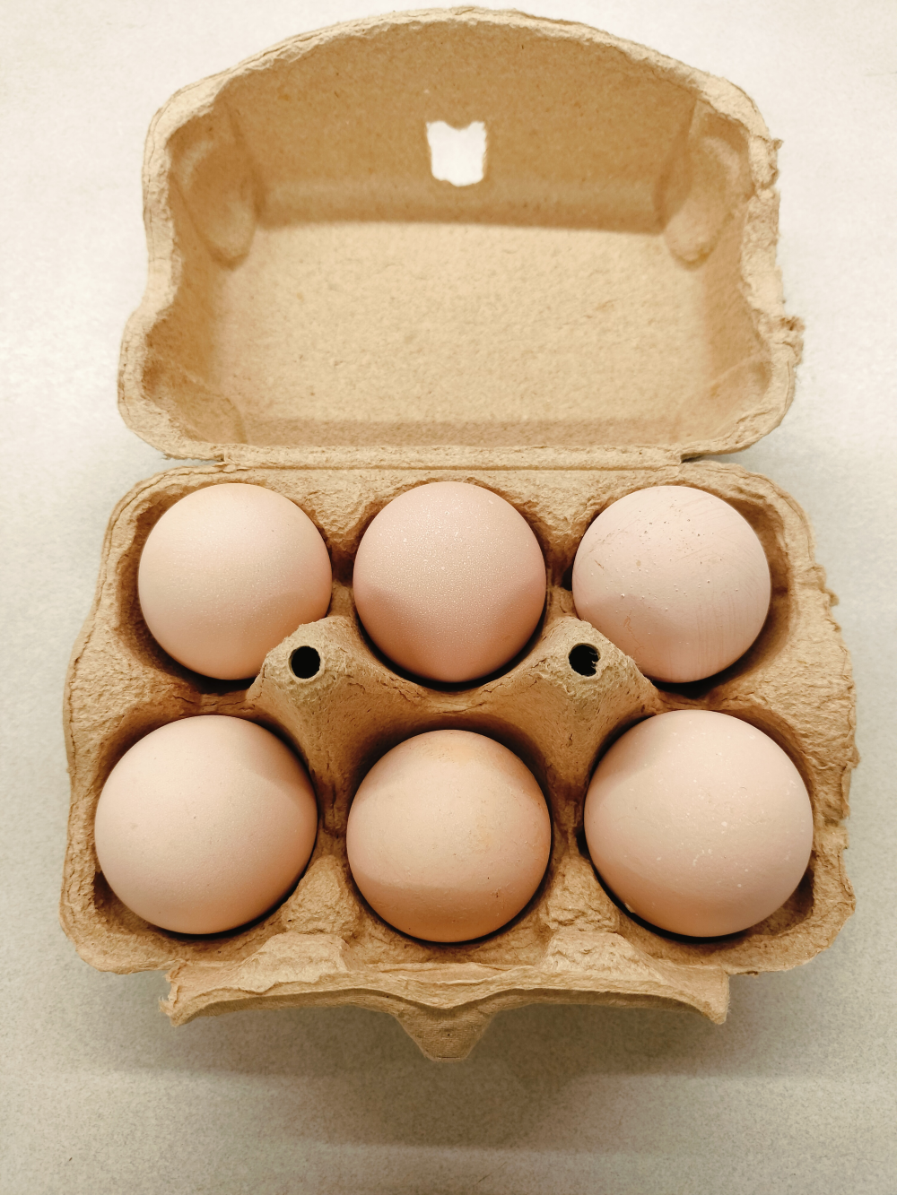 土遊野の平飼い卵 ~土と遊ぶ野原のように~