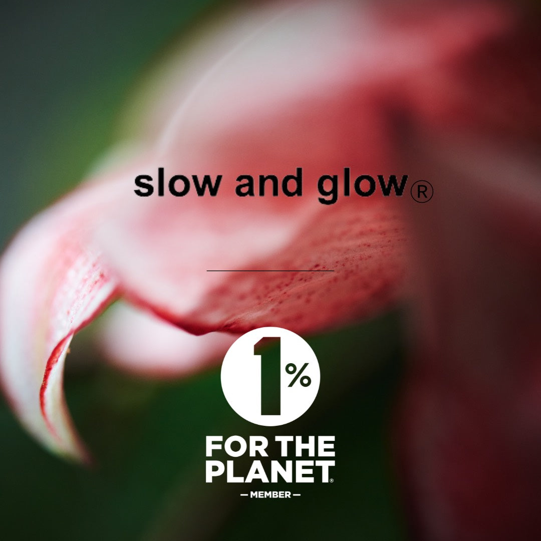 slow and glow オールインワンゲル モイスチャーリッチ100ml