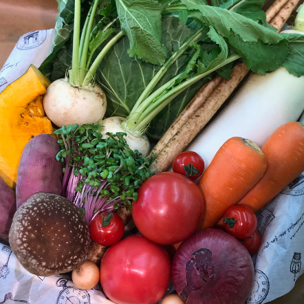 オーナーおすすめオーガニック野菜セット(10種類)