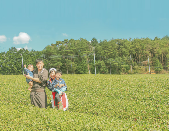 食べる有機のお茶 40g いしかわ製茶