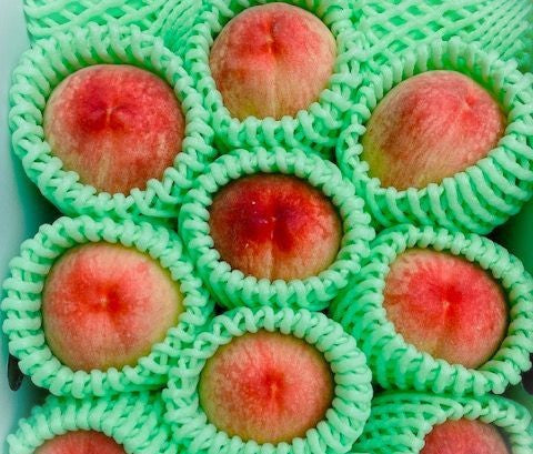 桃)【夏の贈り物2026】農薬に頼らず育てる!笛吹の桃2㎏(約7玉) 無農薬・無化学肥料 山梨県 CULTA Farm