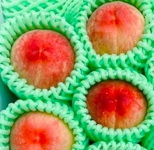桃)【夏の贈り物2026】農薬に頼らず育てる!笛吹の桃1㎏(約3~4玉) 無農薬・無化学肥料 山梨県 CULTA Farm