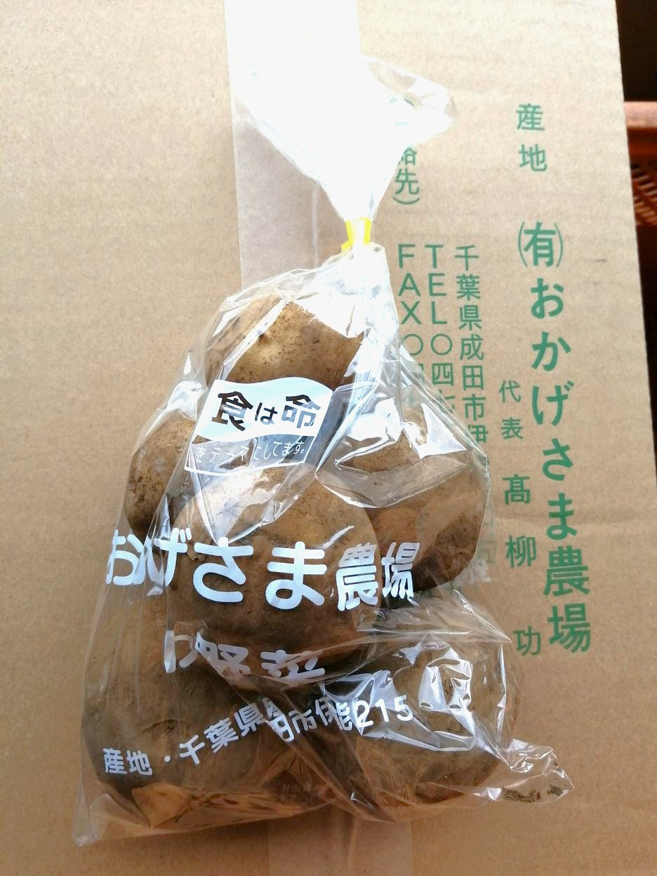 おかげさまのじゃが芋(キタアカリ)600gP 無農薬・無化学肥料(千葉県)おかげさま農場
