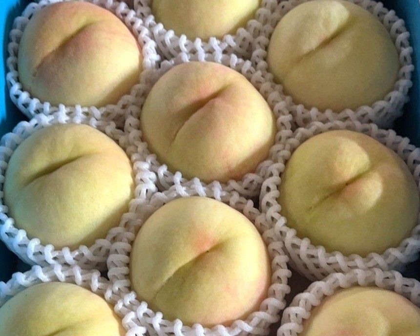 【夏の贈り物2026】龍門の桃小サイズ 4玉から5玉(約1キロ前後)無農薬・無化学肥料(和歌山県)グリーンジャンクション
