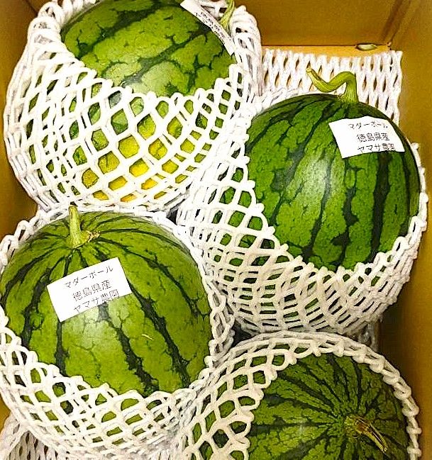 すいか)【夏の贈り物2026】徳島の小玉すいか(マダーボール)1玉約2.5~3kg 農薬(有機許容農薬も不使用)ゼロ、化学肥料ゼロ