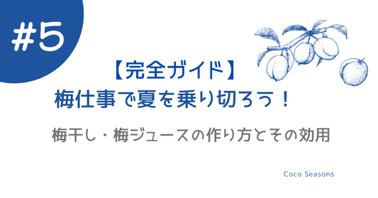 【完全ガイド】梅仕事で夏を乗り切ろう！梅干し・梅ジュースの作り方とその効用