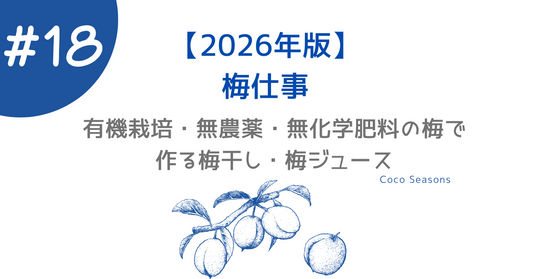 【2026年版】梅仕事ガイド｜有機栽培・無農薬・無化学肥料の梅で作る梅干し・梅ジュース