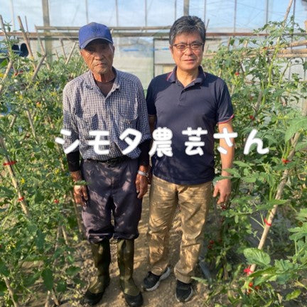 IOB 令和5年産 シモタ農芸さんのコシヒカリ玄米2kg（農薬・化学肥料ゼロ、動物性肥料ゼロ）