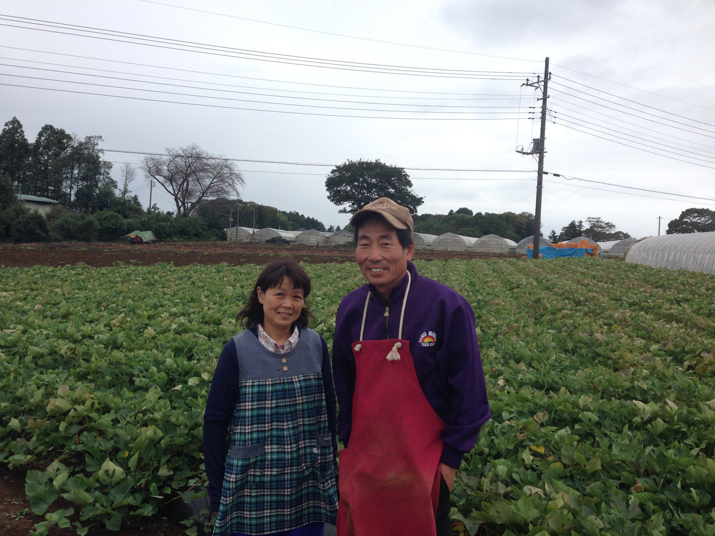 飯塚さんのごぼう 200gP 農薬・化学肥料ゼロ（茨城県）飯塚功