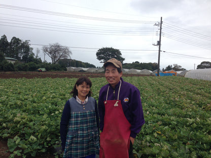 飯塚さんのごぼう 200gP 農薬・化学肥料ゼロ（茨城県）飯塚功