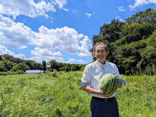 すいか）千葉県産　自然栽培４億年すいか　小サイズ１玉２．５kg～３kgキロ前後（農薬、肥料ゼロ） |同梱不可