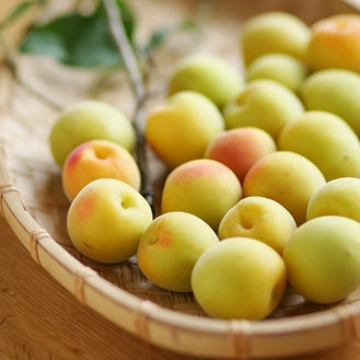 ume）【限定】無農薬・自然栽培の南高梅 木なり完熟で収穫した梅 1kg「てらがき農園」限定２０ｋ