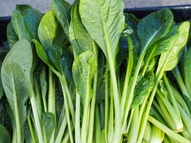 有機の小松菜（１袋）茨城県もしくは千葉県産