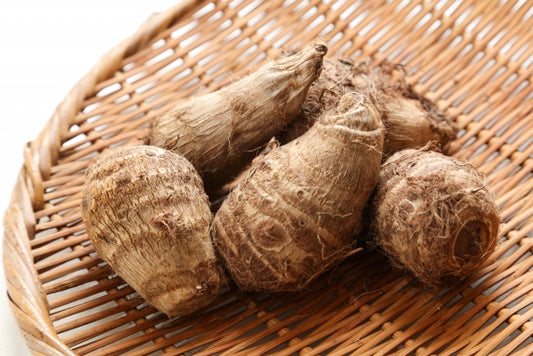 【2026お正月】千葉県産　自然栽培の里芋　約500g　 ※12/28日～30日　お届け限定