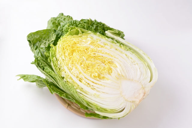 【2026お正月】宮崎の有機白菜　1/2カット　※12/28日～30日　お届け限定