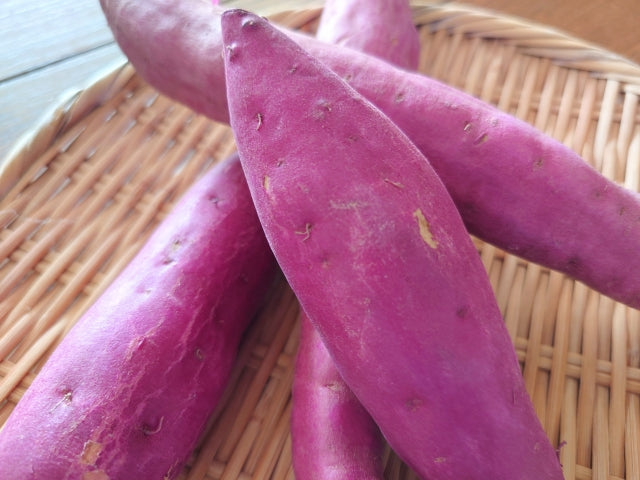 坂出金時芋（さつま芋） 700gP 有機認証・許容農薬ゼロ（香川県）さぬき有機生産組合