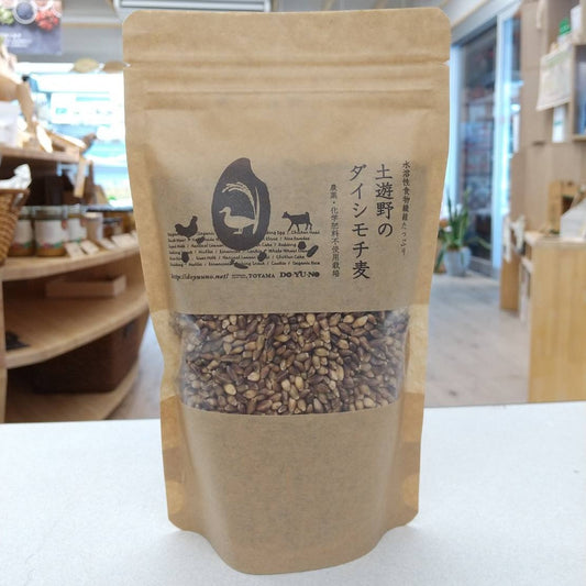 土遊野のダイシモチ麦 270g