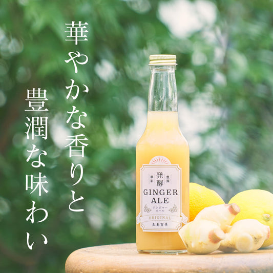 【生姜百景】発酵ジンジャーエール 250ｍｌ　