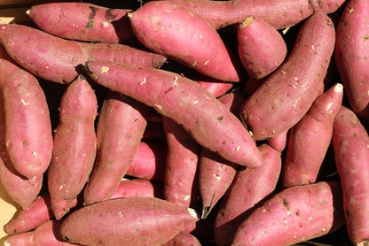千葉の有機さつま芋（べにはるか）約400g（細め2～4本） 有機認証・許容農薬ゼロ（千葉県）シェアガーデン