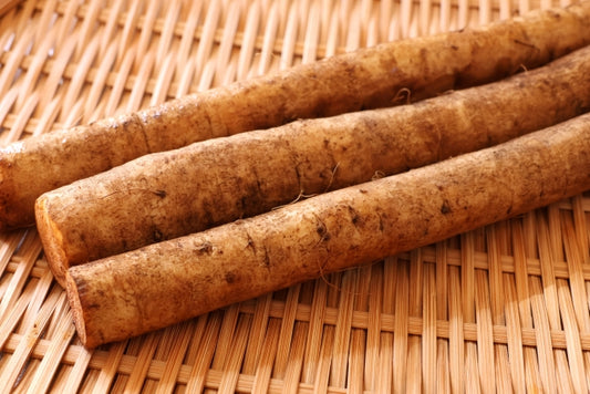 タテノファームの有機ごぼう 300gP 有機認証・許容農薬ゼロ（山梨県）タテノファーム