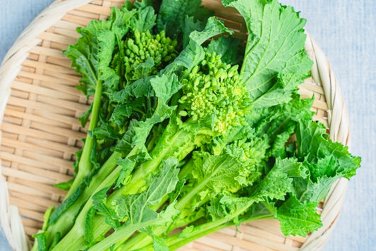 【ひなまつり】伊豆の菜花 150gP　農薬・化学肥料不使用（静岡県）マザーアースクラブ