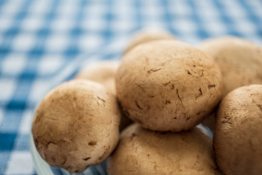 ブラウンマッシュルーム約 100gP（8個から10個） 農薬・化学肥料ゼロ（山形県）