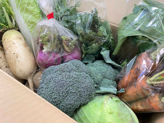 （直送）金曜日発送限定■岩崎さんの感農野菜セット（1箱 約10品)  無農薬・無化学肥料 (長崎県）岩崎政利