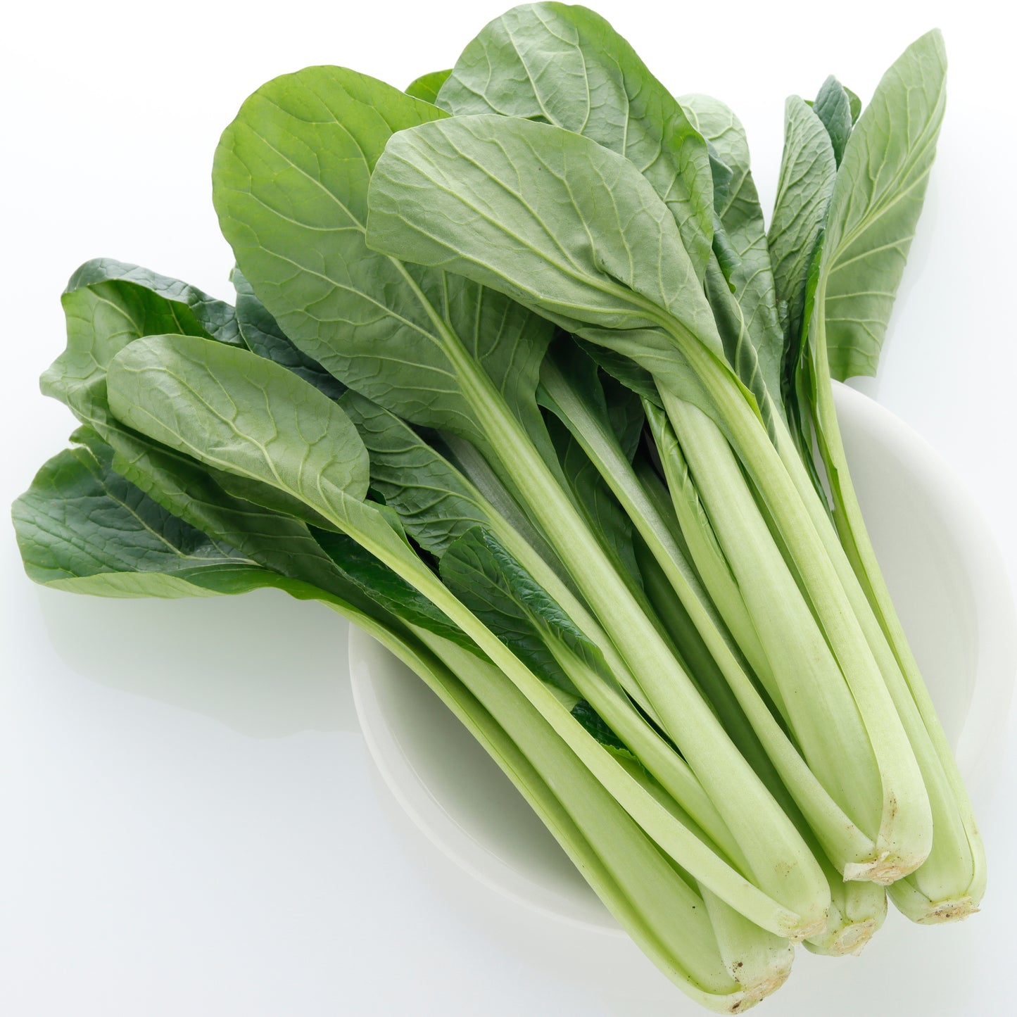 【2026お正月】 茨城産の有機小松菜 約200ｇ ※12/28.29,30でお届け