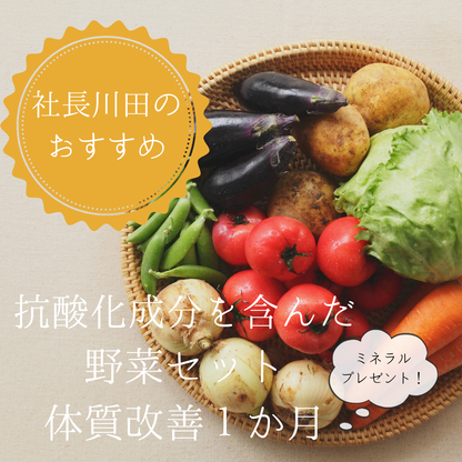 【定期便】社長川田おすすめ　体質改善に最適！抗酸化成分を含む農薬ゼロの野菜達セット1か月分（2名分）|週に一回のお届け×４回|レビューでミネラルのプレゼント付き