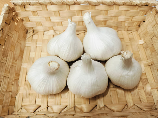 有機にんにく 1玉から2玉 有機認証・許容農薬ゼロ　岩手県　みちのく有機