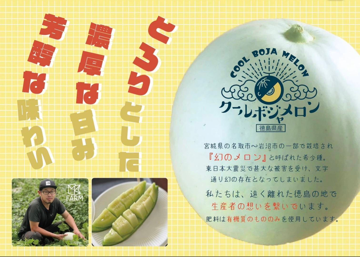 【夏の贈り物2026】徳島産　幻のクールボジャメロン　3玉（800ｇ以上）農薬、化学肥料ゼロ