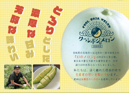 【夏の贈り物2026】徳島産　幻のクールボジャメロン　3玉（800ｇ以上）農薬、化学肥料ゼロ