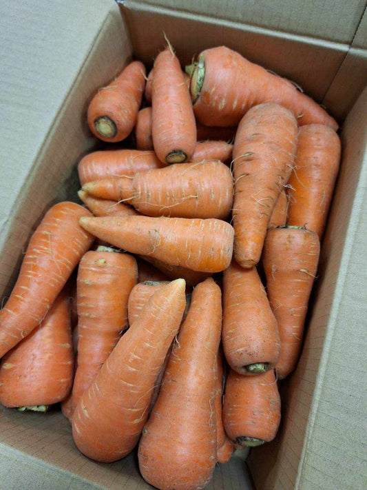 ■タテノファームの有機人参（洗い）5kg箱 有機認証・許容農薬ゼロ （山梨県）タテノファーム