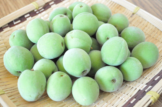 ume)和歌山の青梅（南高梅）無農薬・無化学肥料グリーンジャンクション 約1kg　