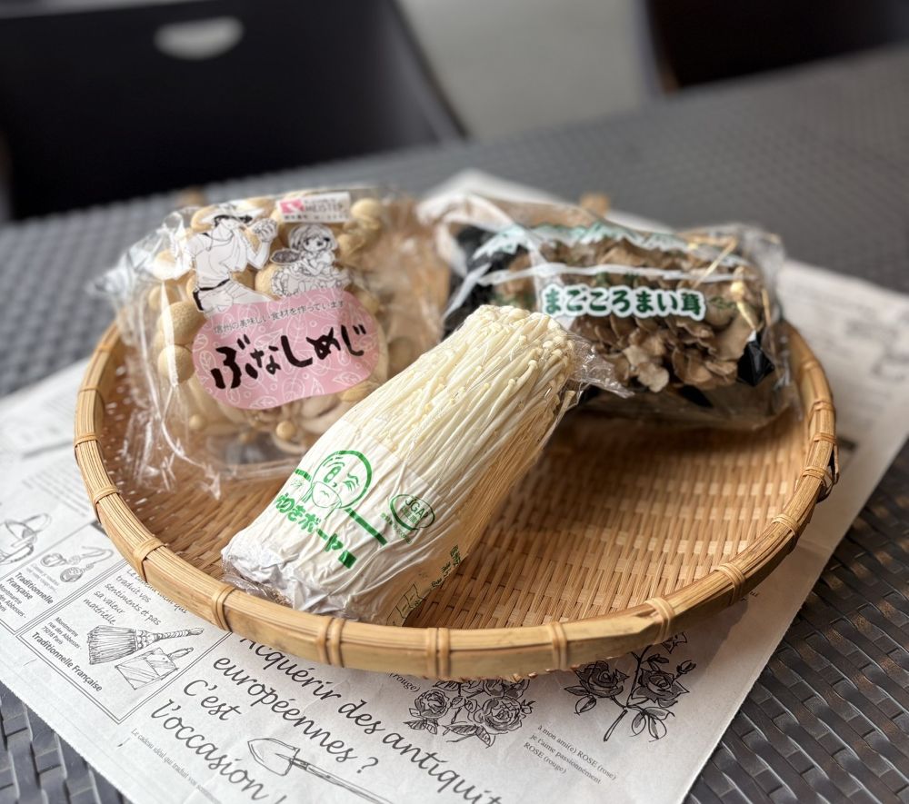 秋の味覚！きのこ3点セット｜農薬・化学肥料ゼロのまいたけ・ぶなしめじ・ホワイト｜信州・新潟の本物きのこをご自宅に